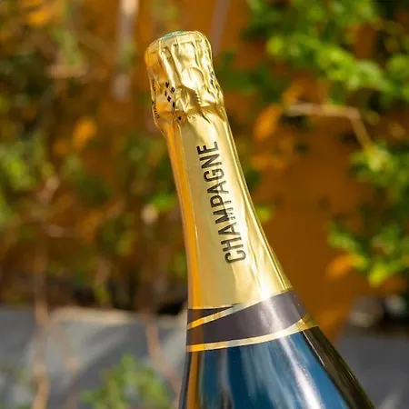 アパート Notre-dame -latin Quarter Vip Rooftop Terrace View *